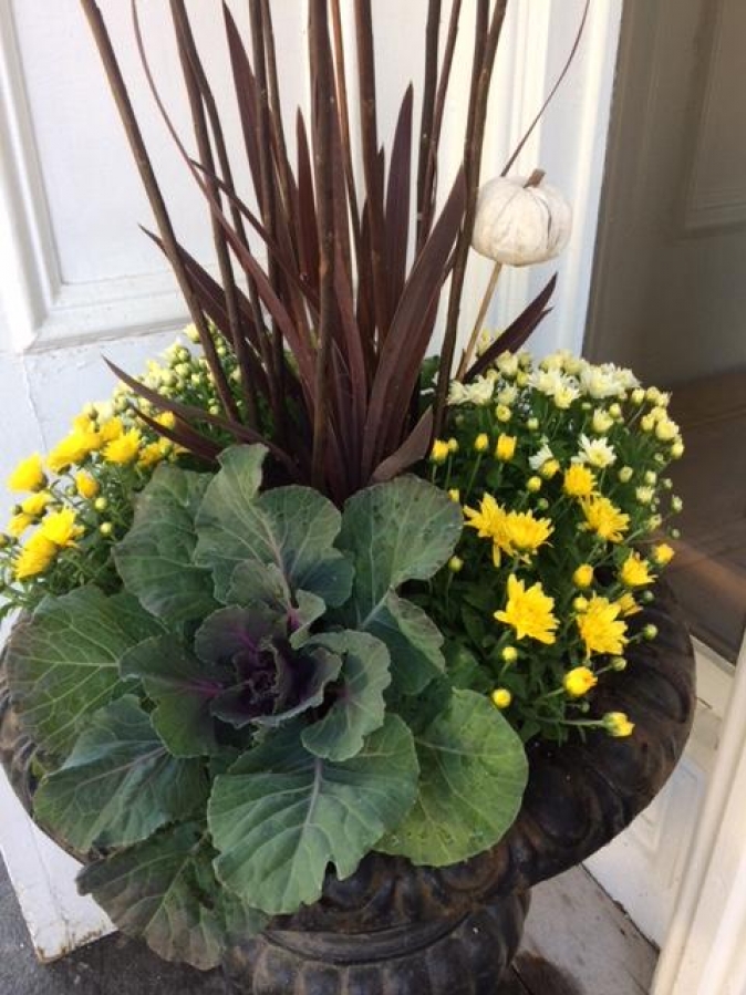 Two fall planters paired with gift certificate for landscape product 